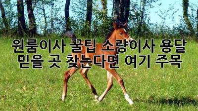 원룸이사 꿀팁🍯 소량이사 용달, 믿을 곳 찾는다면 여기 주목! 👀
